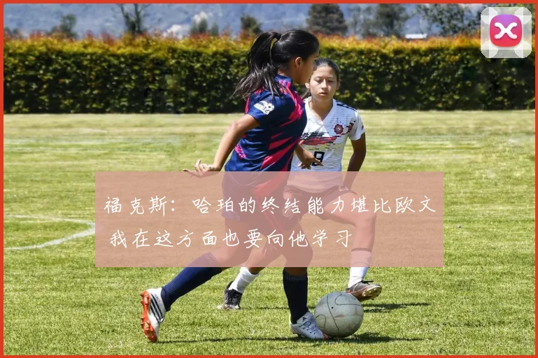 福克斯：哈珀的终结能力堪比欧文 我在这方面也要向他学习
